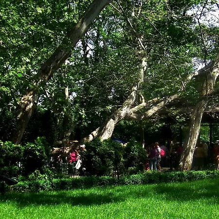 Cismigiu Gardens Apartman