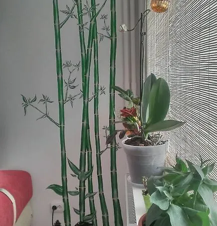 Cismigiu Gardens Apartman